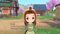 Story Of Seasons A Wonderful Life - Occasion