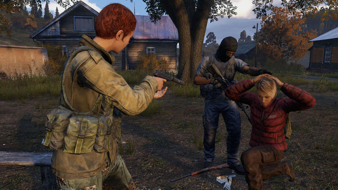 Dayz | Occasion