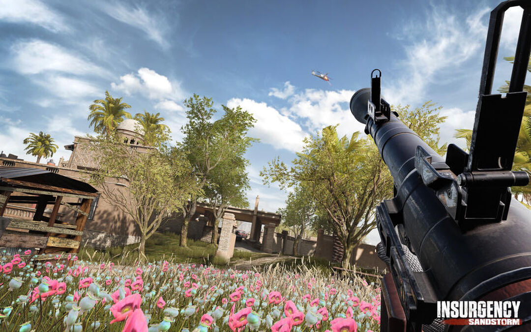 Insurgency Sandstorm | Occasion