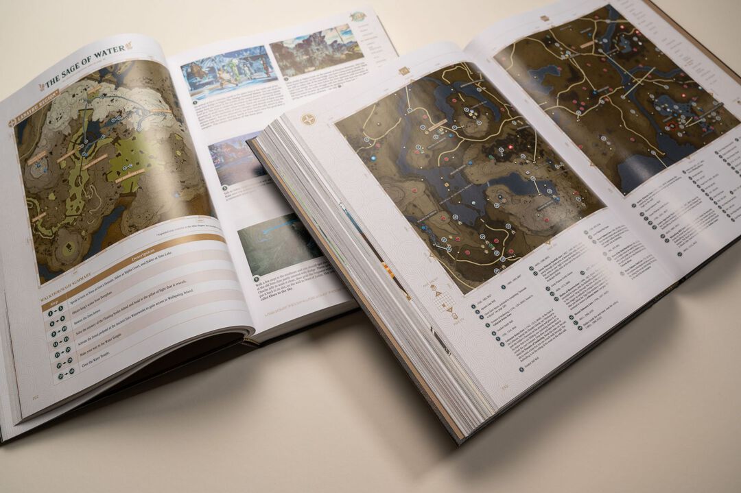 GUIDE ZELDA Tears Of The Kingdom | Version Collector