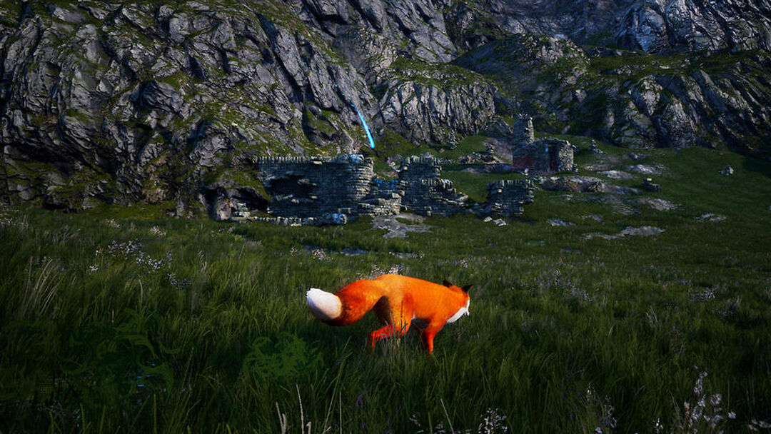 Spirit Of The North | Occasion