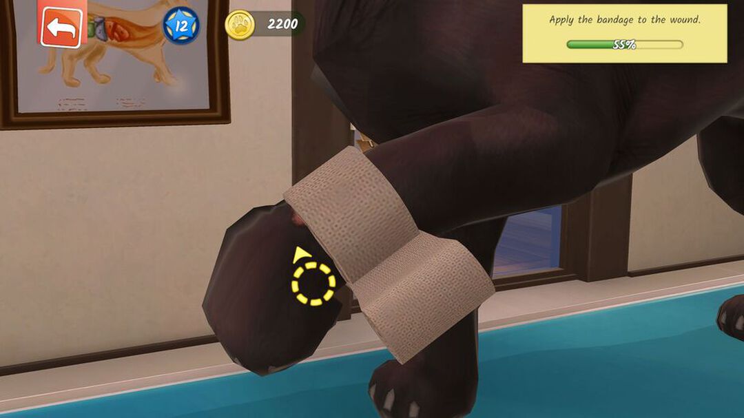 Animal Hospital | Occasion