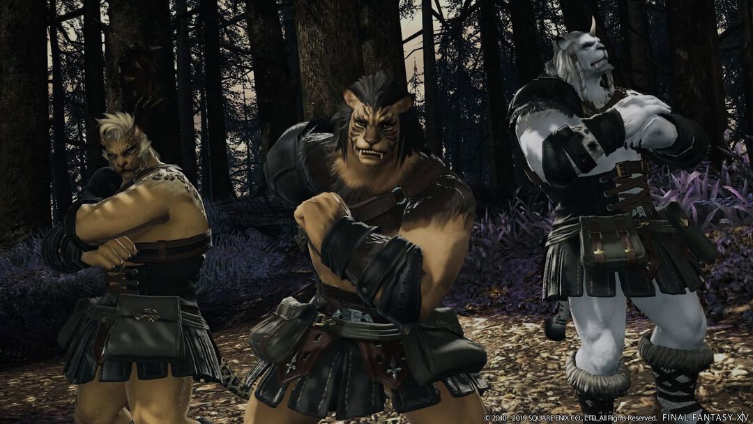 Final Fantasy XIV Shadow Bringers