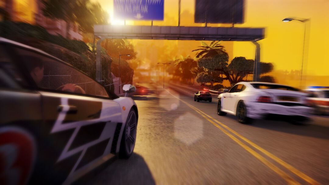 Sleeping Dogs | Occasion