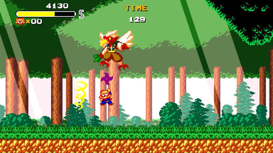 Tanuki's Justice