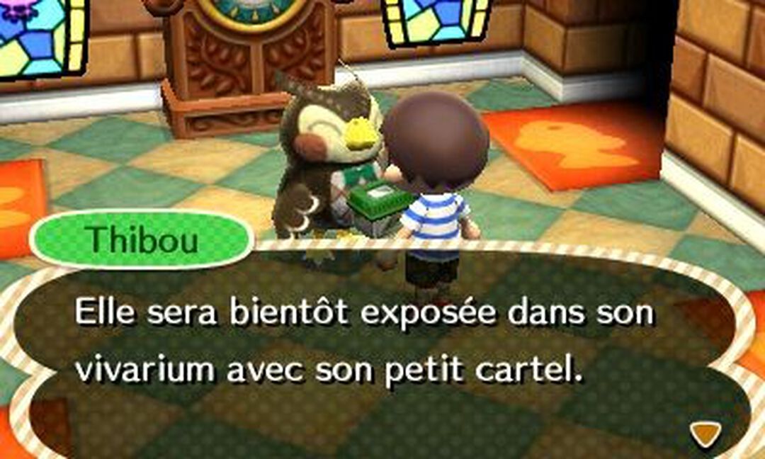 Animal Crossing New Leaf | Occasion