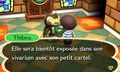 Animal Crossing New Leaf | Occasion thumb 15