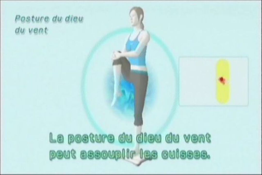 Wii Fit + Wii Balance Board | Occasion