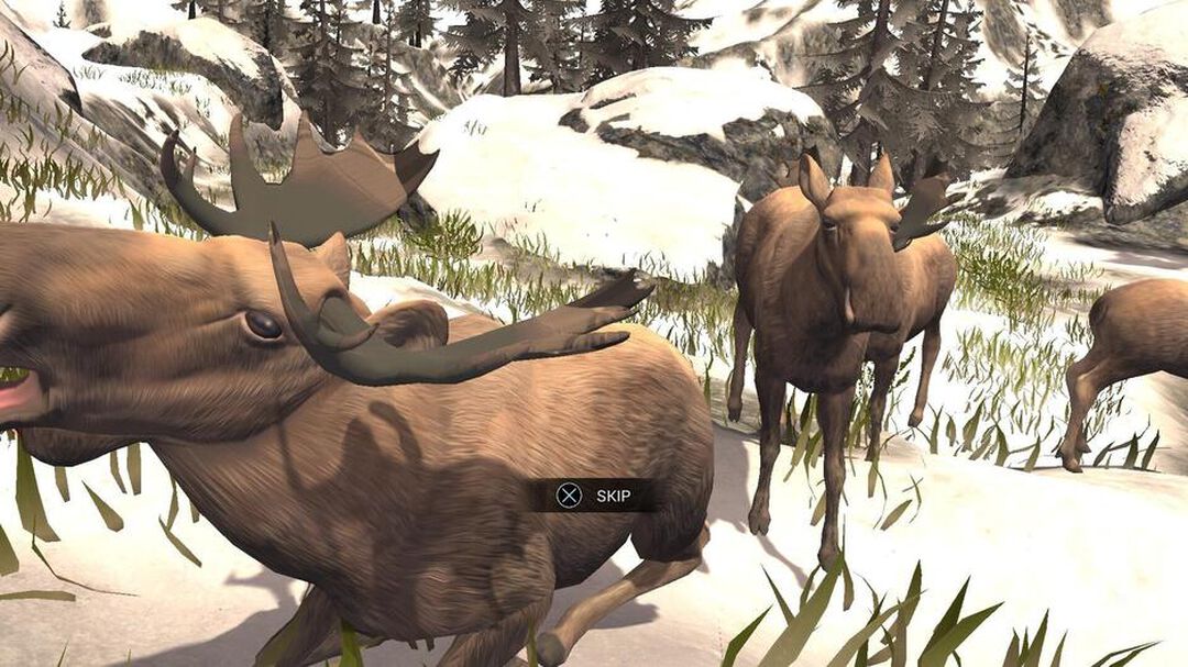 Deer Hunter Reloaded | Occasion