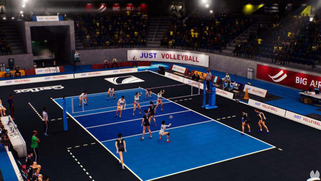 Spike Volleyball | Occasion