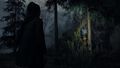 Alan Wake 2 Deluxe Edition - Occasion
