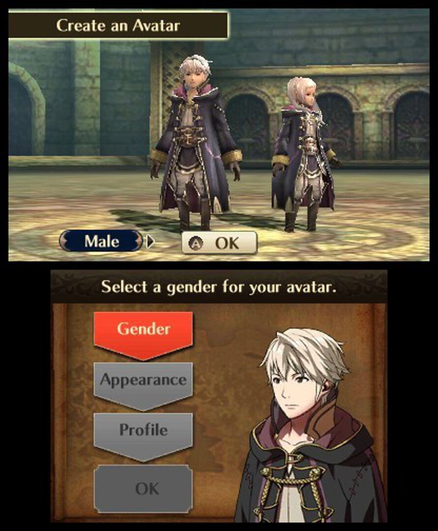 Fire Emblem Awakening | Occasion