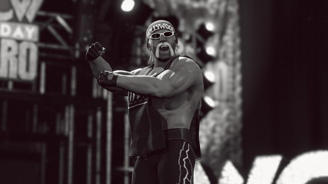 Wwe 2k23 | Occasion