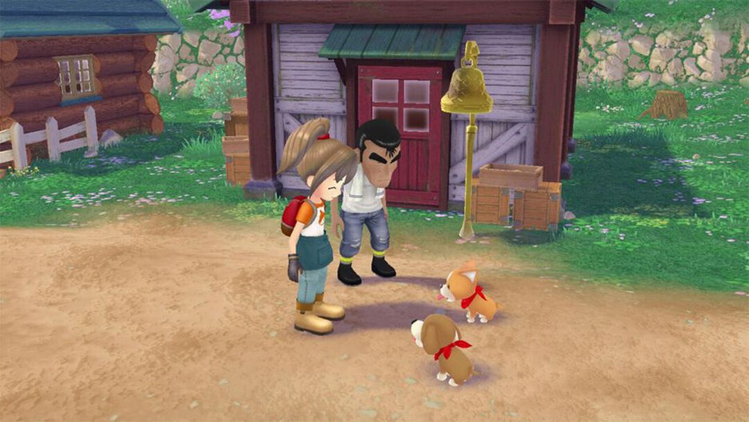 Story Of Seasons A Wonderful Life | Occasion