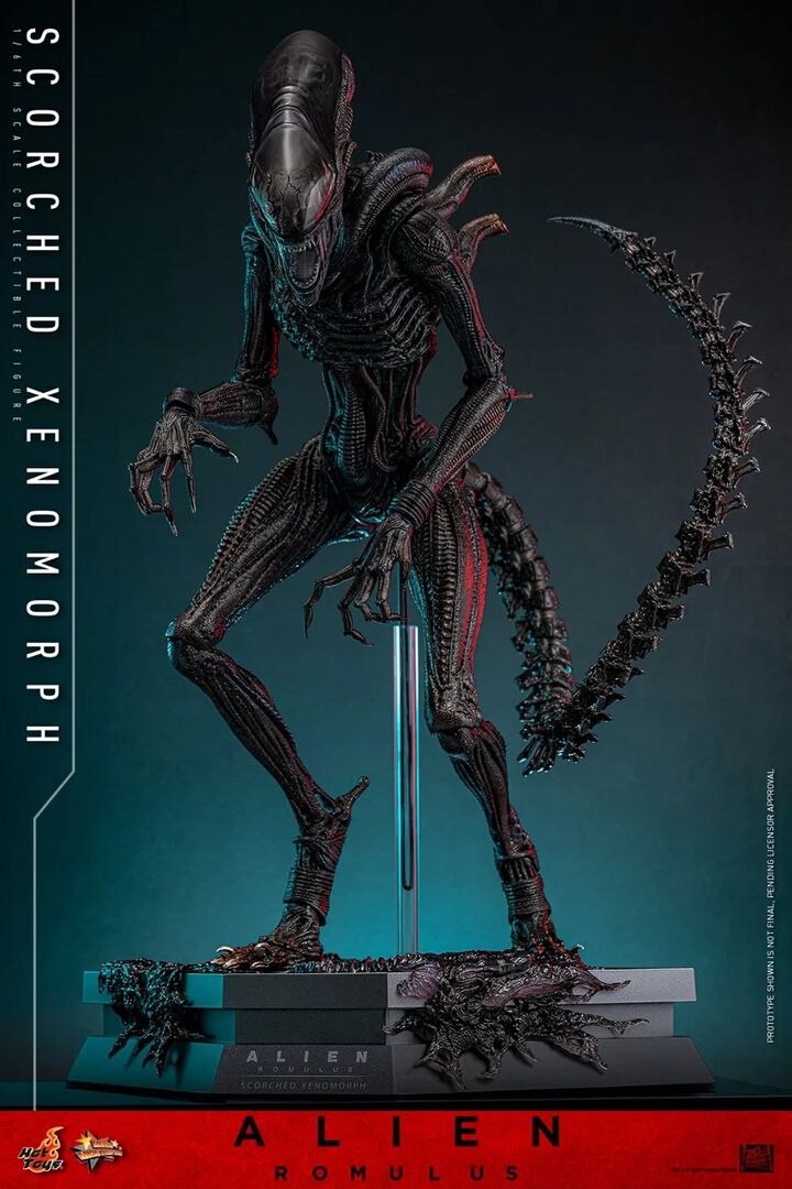 Figurine Hot Toys | Alien | Alien : Romulus Figurine 1/6 Scorched Xenomorph 44cm