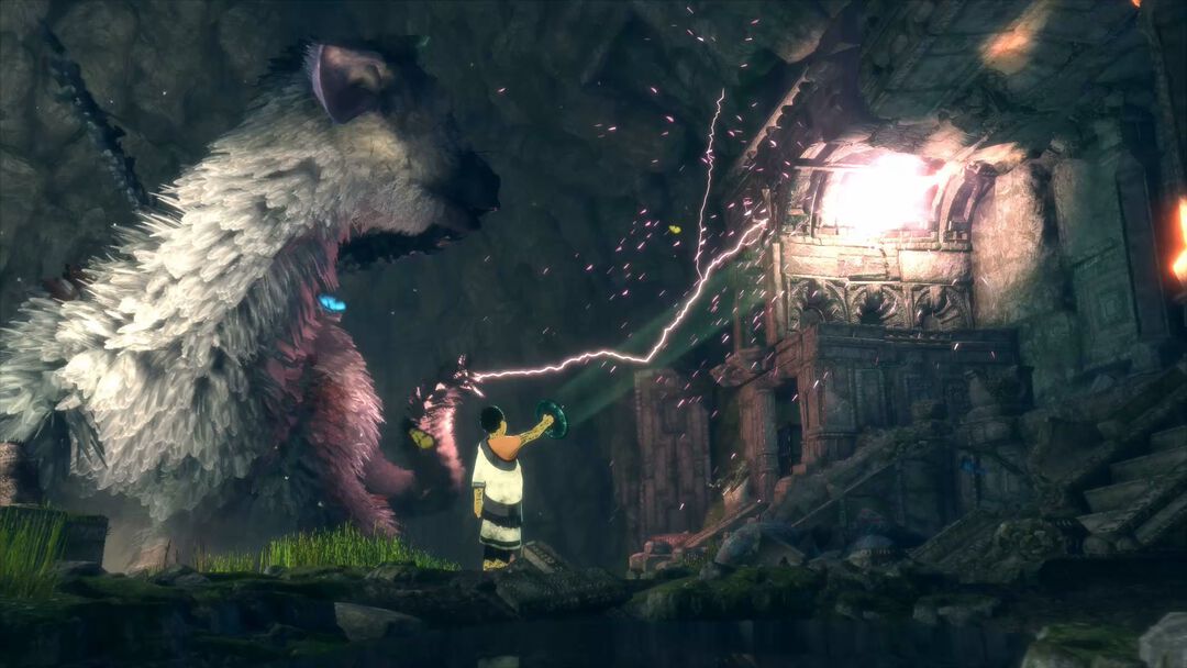 The Last Guardian | Occasion