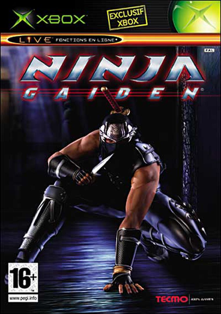 Ninja Gaiden | Occasion