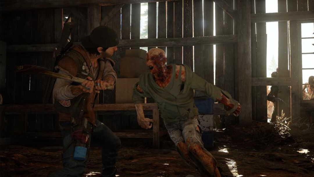 Days Gone | Occasion