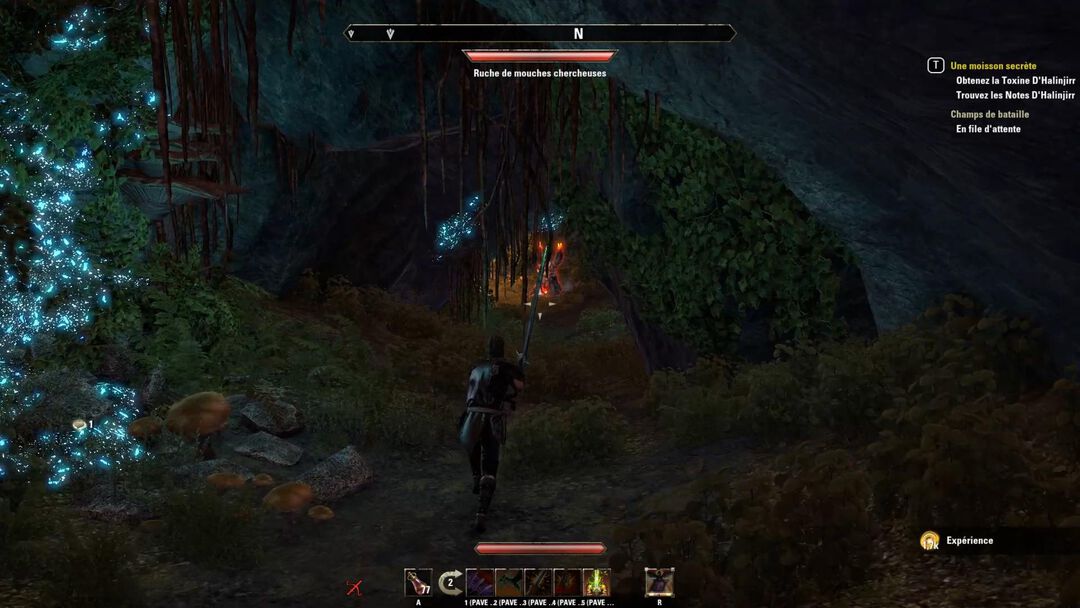 Elder Scrolls Online Morrowind | Occasion