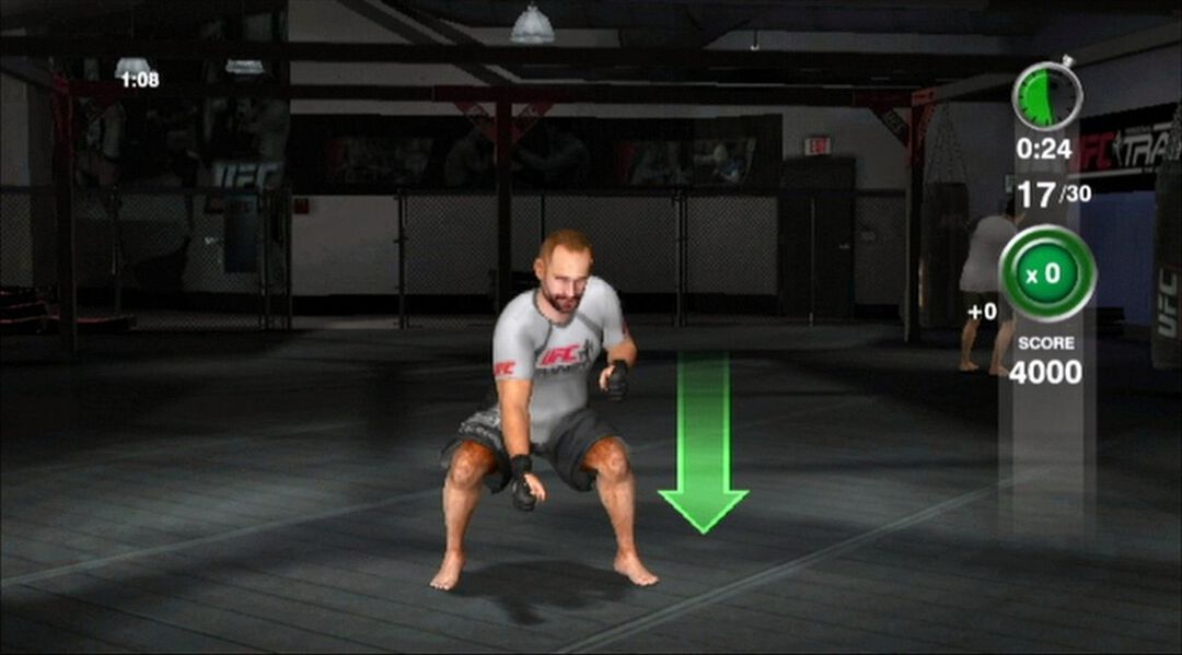 Ufc Personal Trainer | Occasion