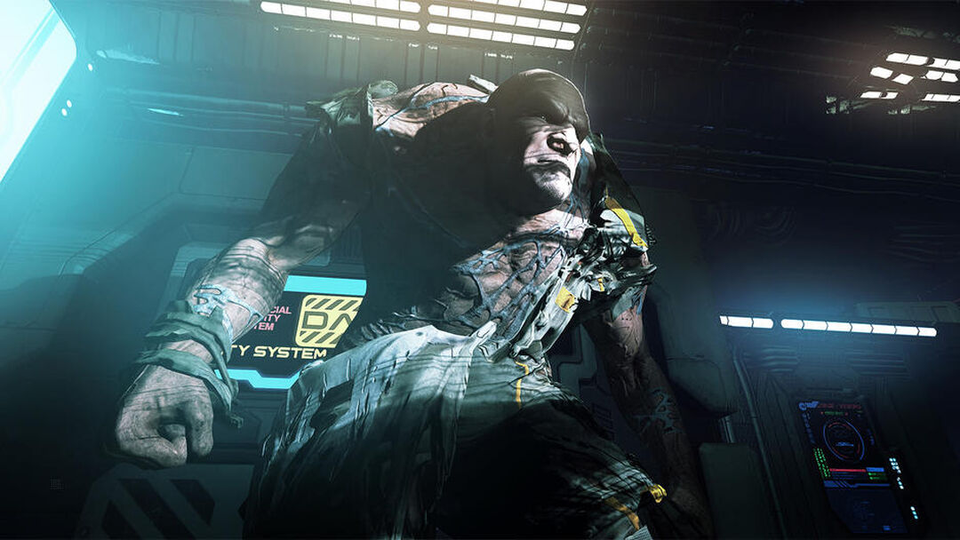 The Persistence Enhanced | Occasion