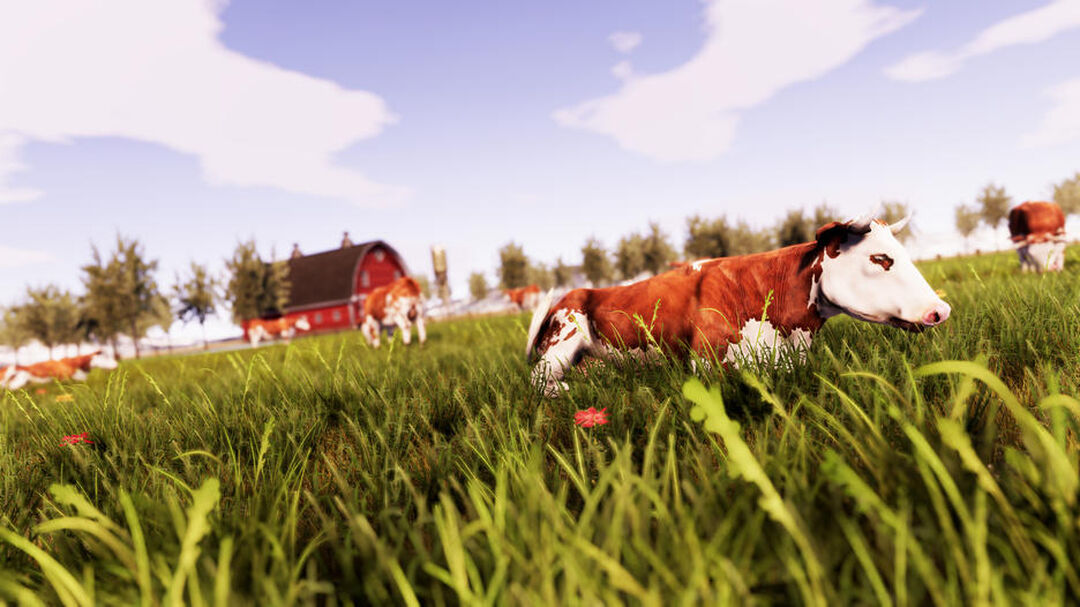 Real Farm Premium Edition