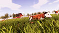 Real Farm Premium Edition thumb 2