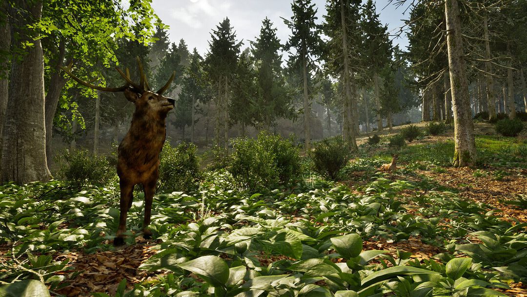 Park Ranger Simulator