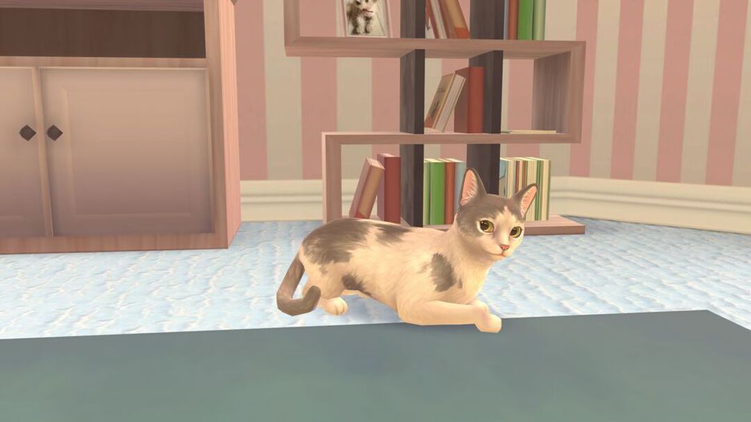 Cat Rescue Story | Occasion