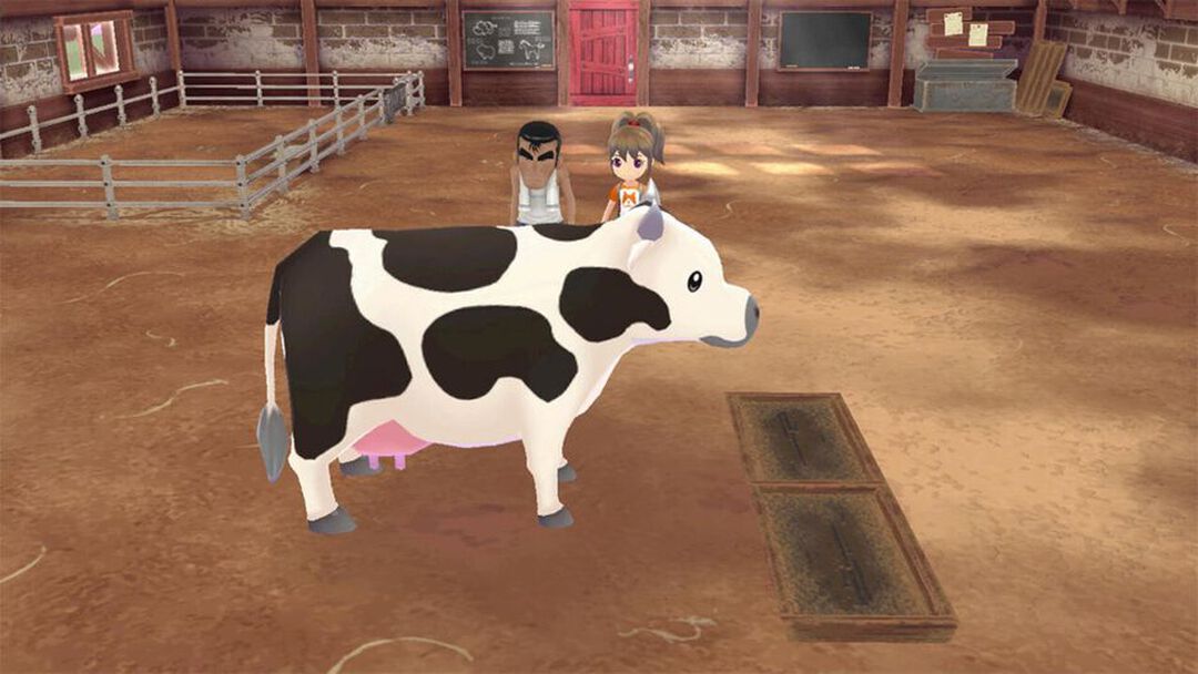 Story Of Seasons A Wonderful Life | Occasion