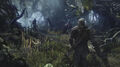 The Witcher 3 Wild Hunt thumb 12