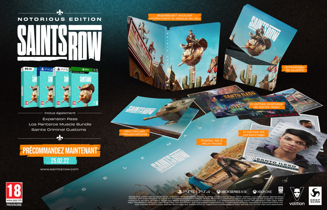 Saints Row Notorious Edition