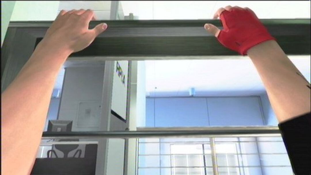 Mirror's Edge | Occasion