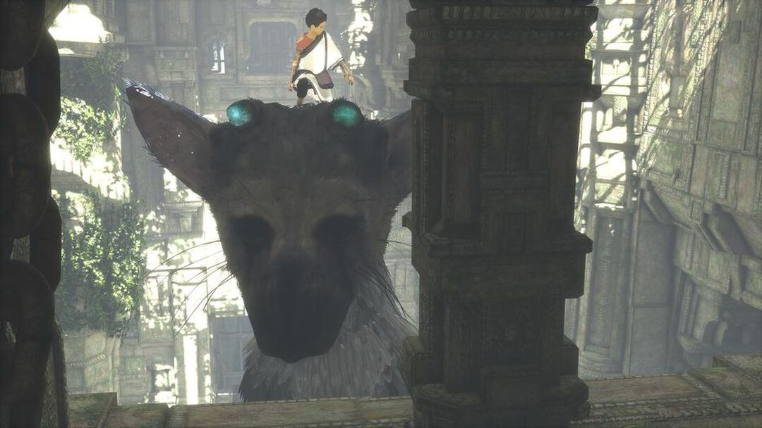The Last Guardian | Occasion