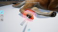 Ma Vie Veterinaire | Occasion thumb 3