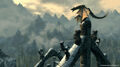 Skyrim The Elder Scrolls V - Occasion