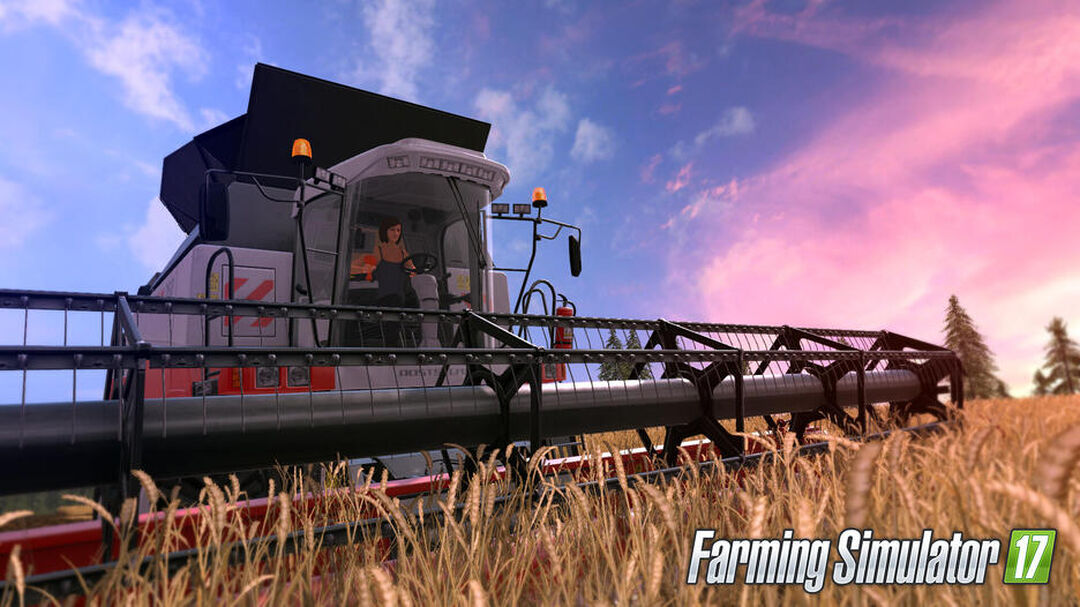 Farming Simulator Nintendo Switch Edition | Occasion