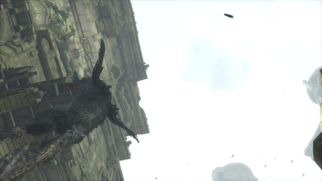 The Last Guardian | Occasion