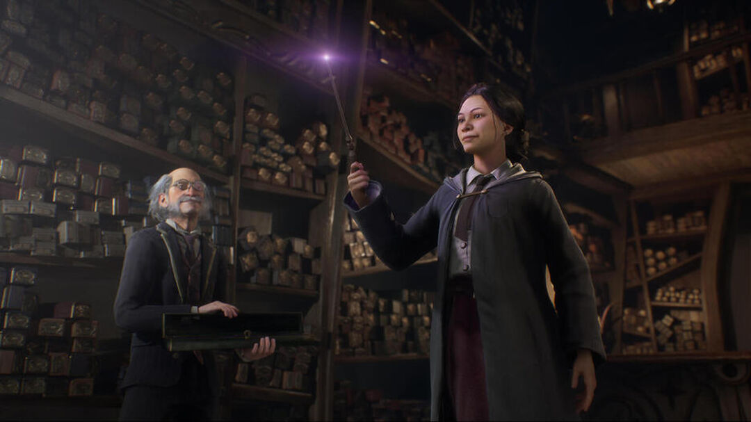 Hogwarts Legacy : L'heritage De Poudlard | Occasion