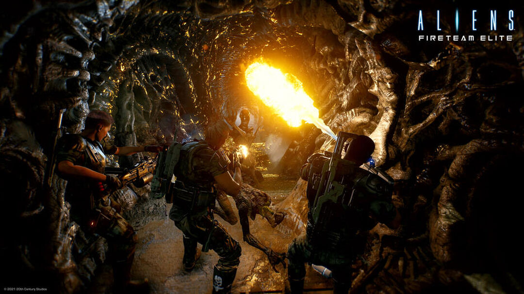 Aliens Fireteam Elite | Occasion