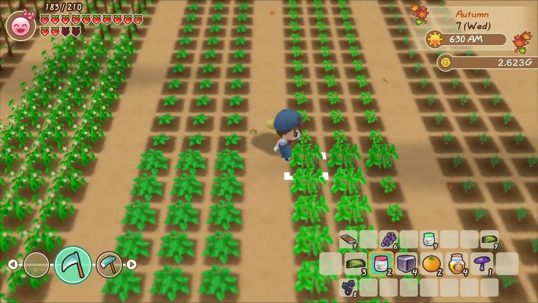 Story Of Seasons Friends Of Mineral Town | Occasion