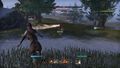 Dlc Elder Scrolls Online Tamriel Unlimited | 1500 Couronnes thumb 10