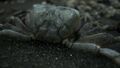 Death Stranding Edition Collector thumb 16