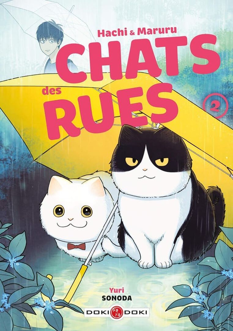 Manga | Hachi & Maruru | Chats Des Rues | Tome 02