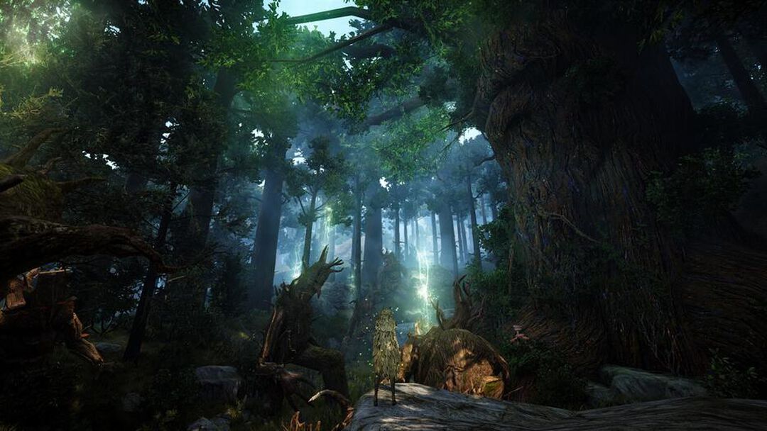 Black Desert Prestige Edition | Occasion