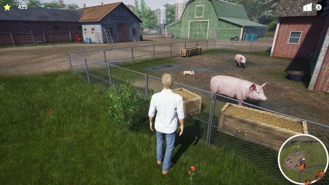 Ma Vie Veterinaire &agrave; La Ferme | Occasion