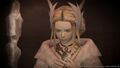 Final Fantasy XIV A Realm Reborn | Occasion thumb 26