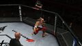 Ufc Undisputed 3 | Occasion thumb 14
