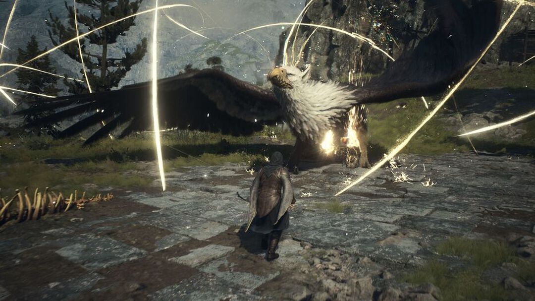 Dragon's Dogma 2 | Occasion