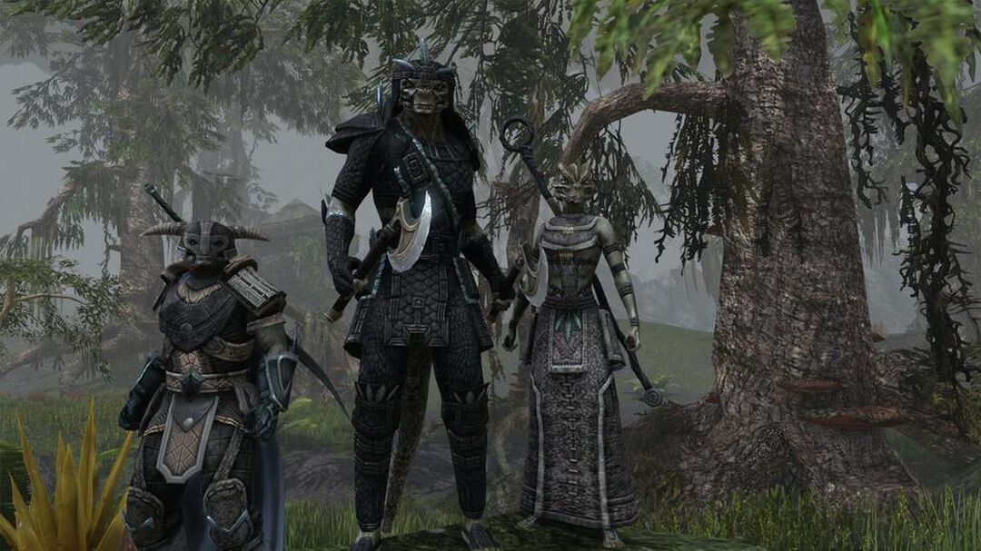 Elder Scrolls Onlinetamriel Unlimited Imperial Edition